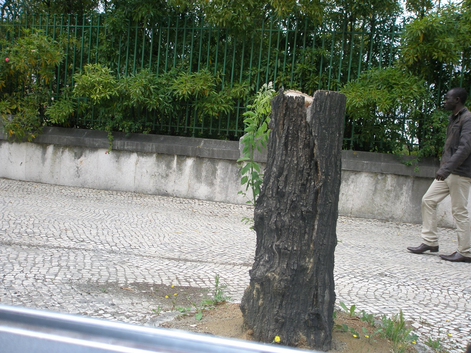 [P4290159.JPG]