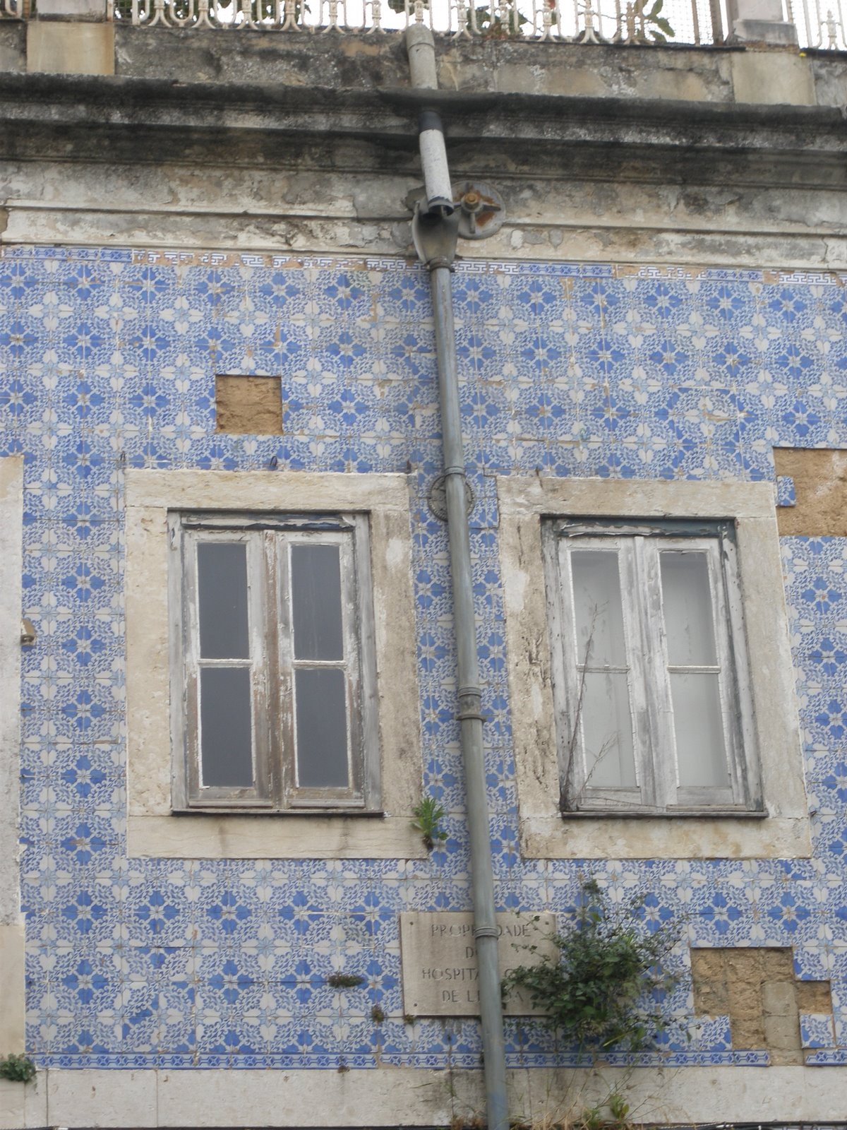 [P4130020.JPG]