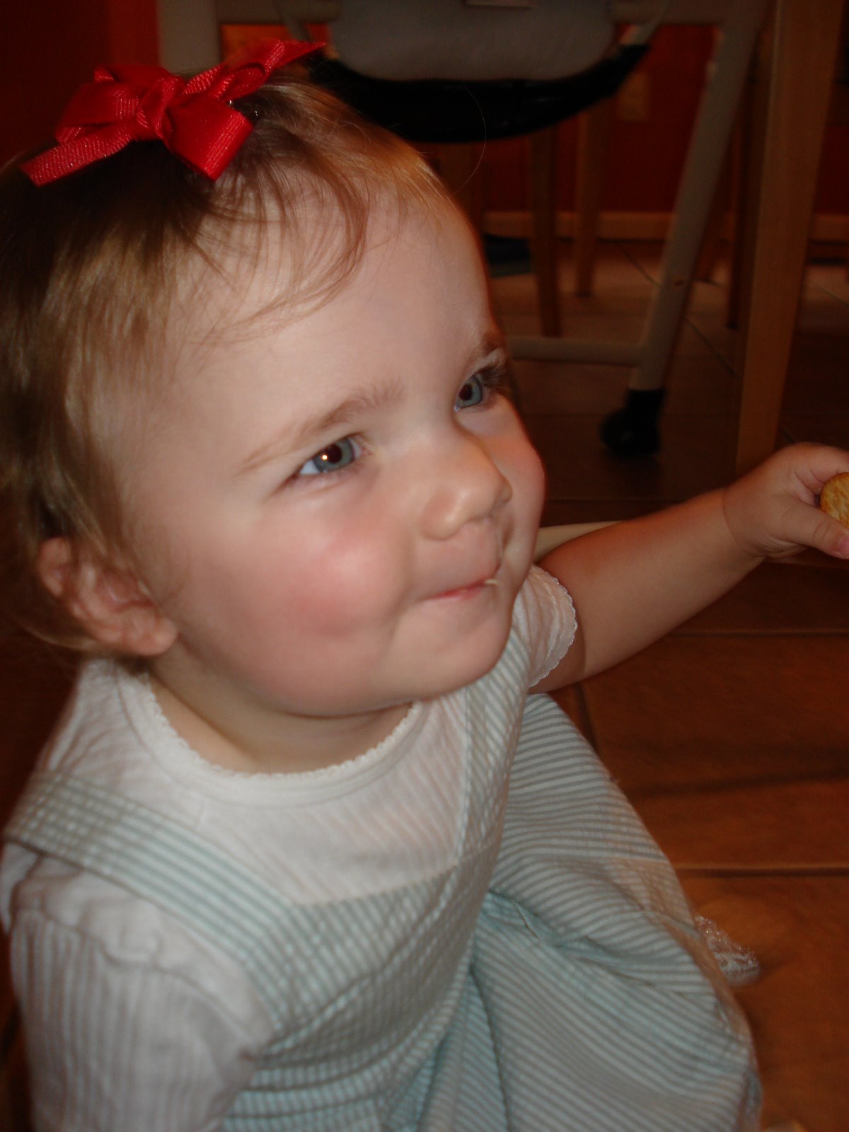 [DSC07584.JPG]