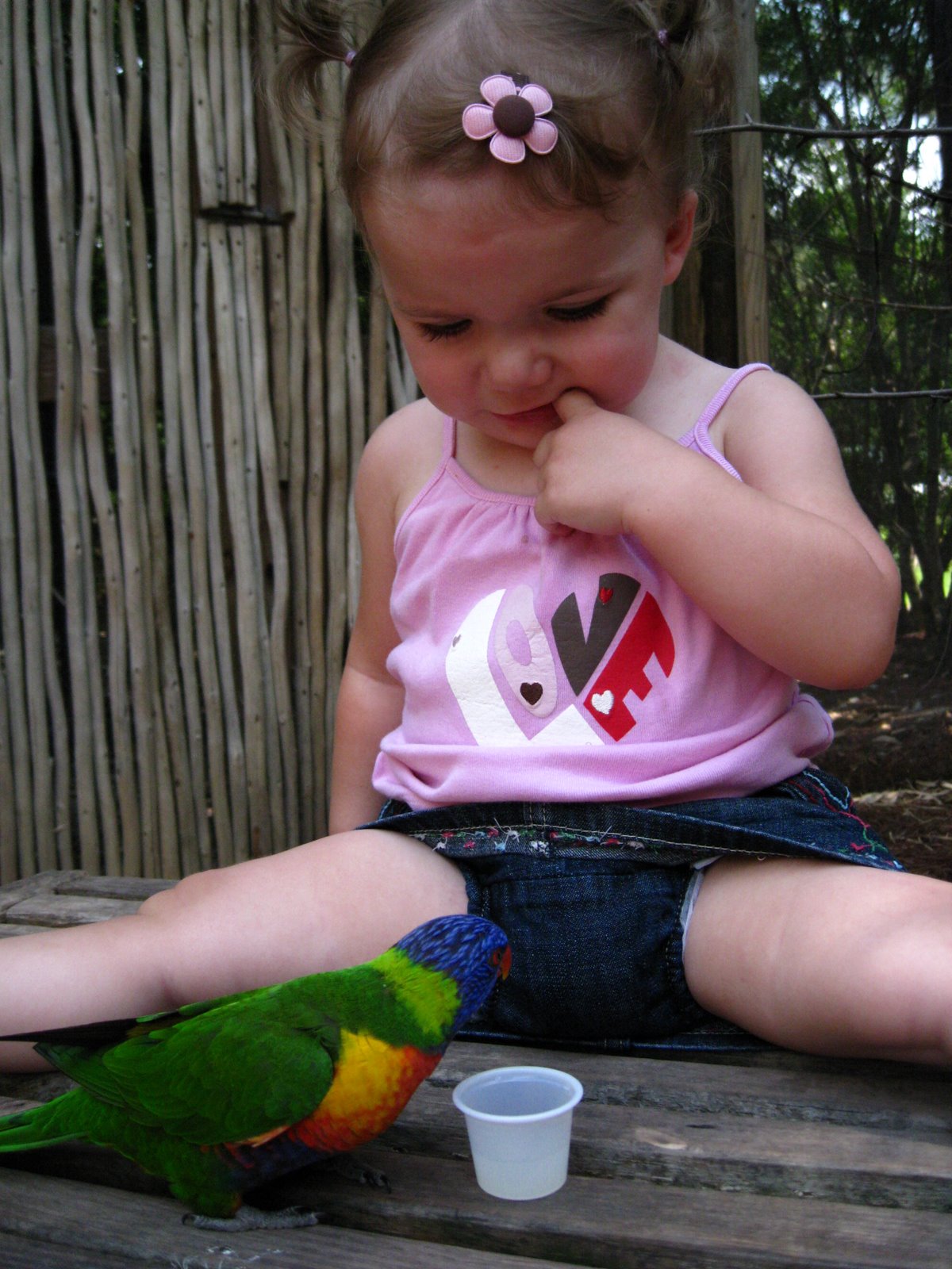 [IMG_1212.JPG]