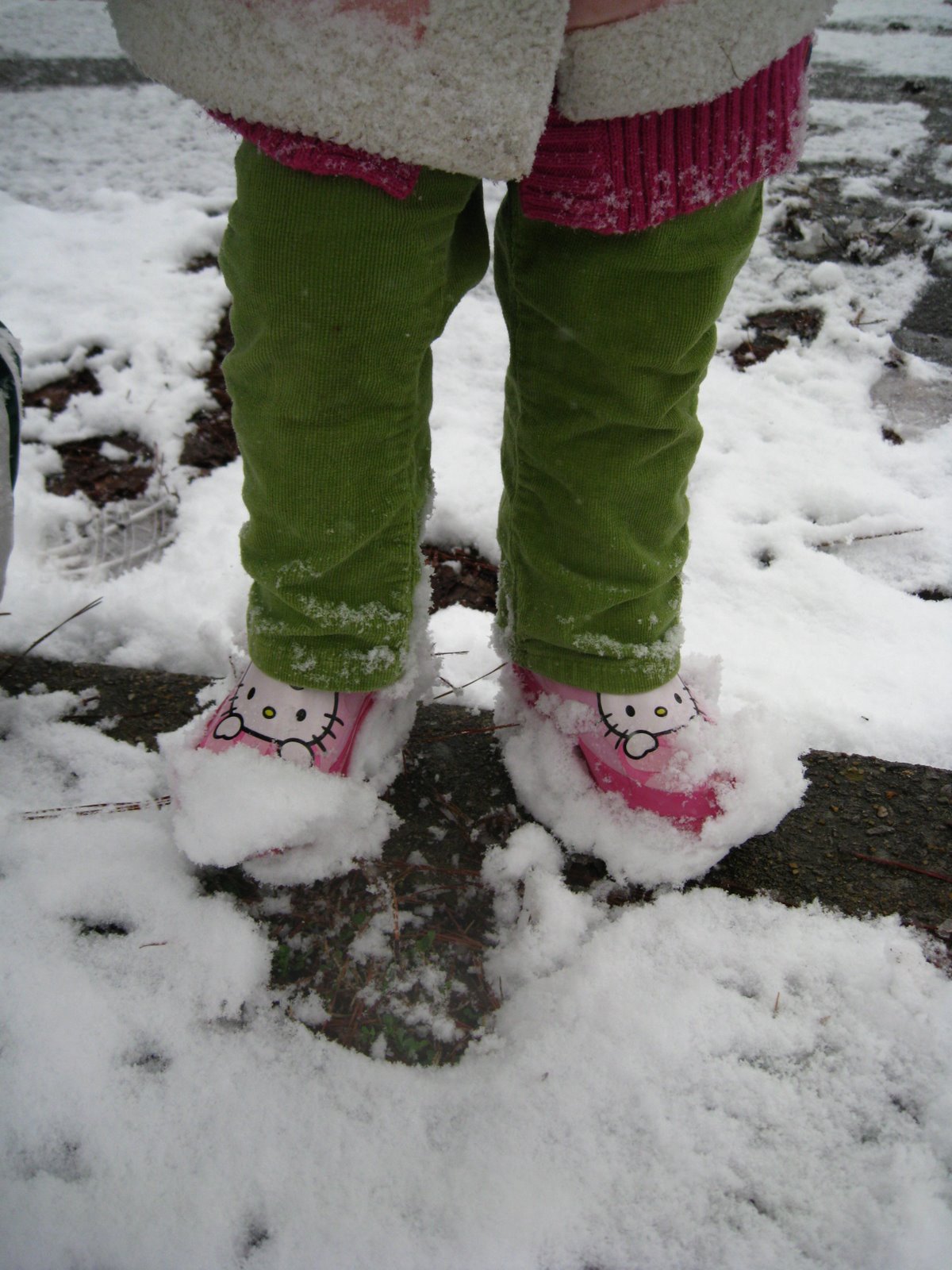 [IMG_7879.JPG]