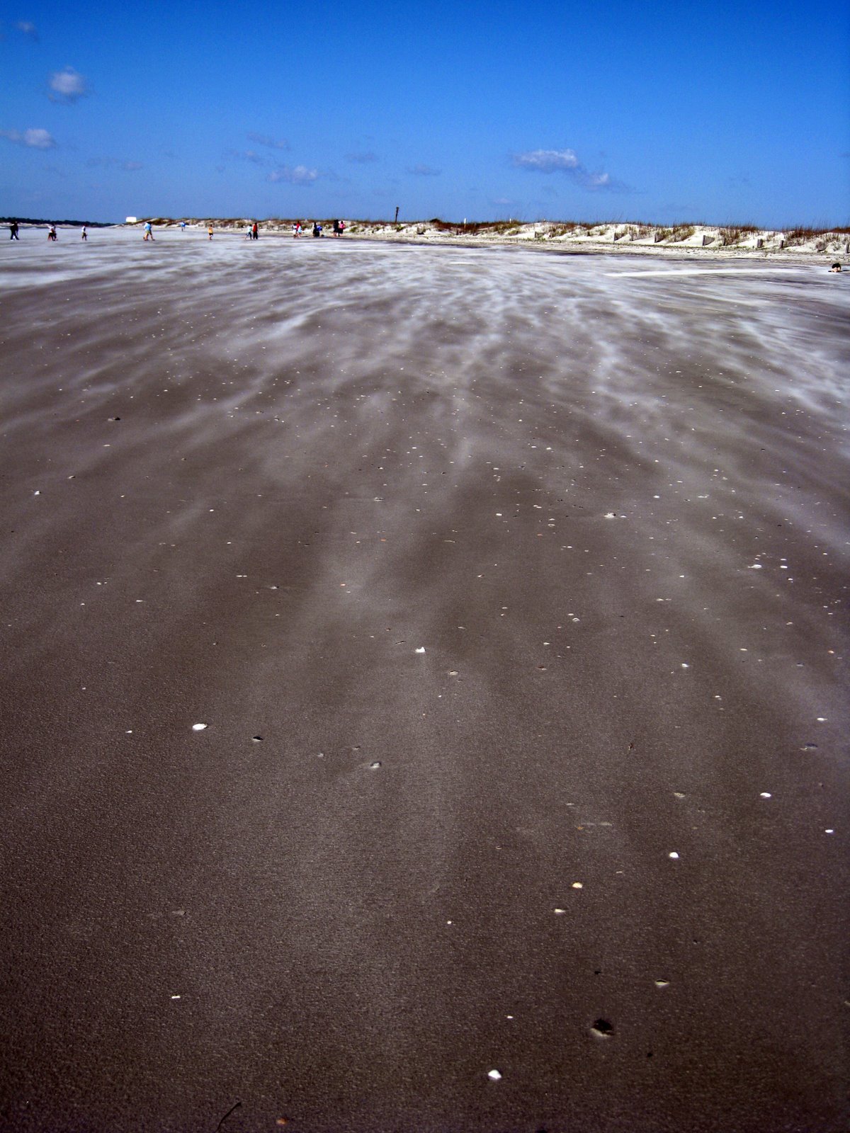 [IMG_8761.JPG]