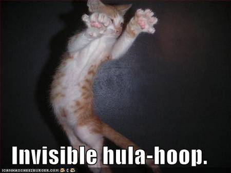 [funny-pictures-invisible-hula-hoop-cat.jpg]