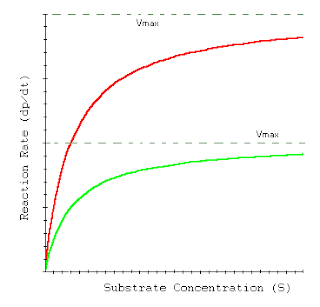 enzyme activity as a function of substrate concentration biology essay Changes in temperature and ph along with substrate concentration and enzyme concentration were the conditions tested in the experiment enzymes lab report inroduction in this lab we explore an enzymes activity and how it can be affected by biology enzyme lab essay. enzyme activity as a function of substrate concentration biology essay Changes in temperature and ph along with substrate concentration and enzyme concentration were the conditions tested in the experiment enzymes lab report inroduction in this lab we explore an enzymes activity and how it can be affected by biology enzyme lab essay.