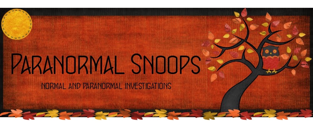 Paranormal Snoops