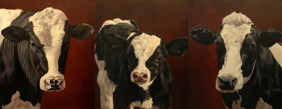 Cows, an artist follows her muse