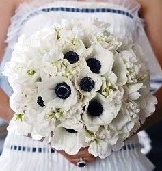 anemone bouquet