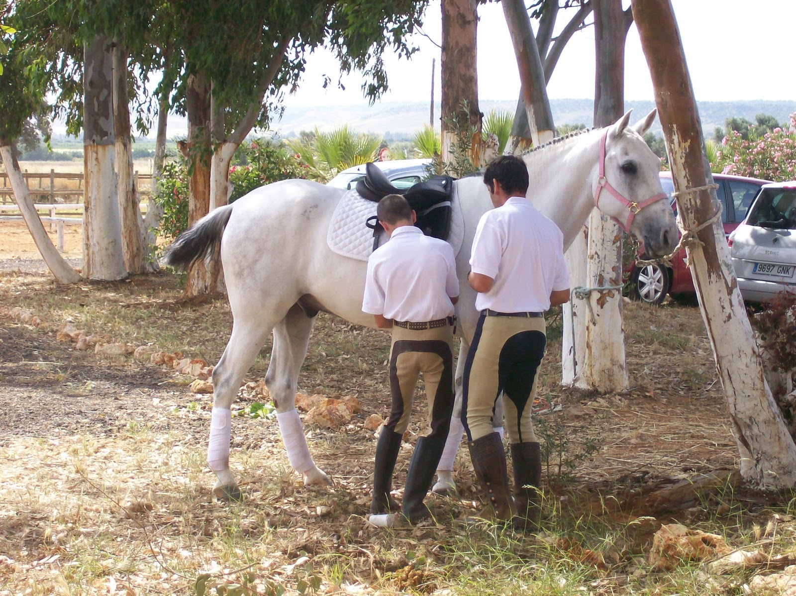 ESCUELA HÍPICA MUNICIPAL DE LEPE Ceremonia de Entrega de Títulos