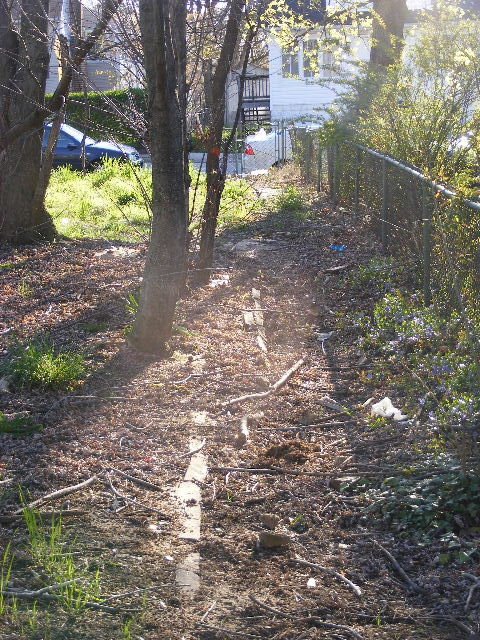 [DSCF0003.JPG]