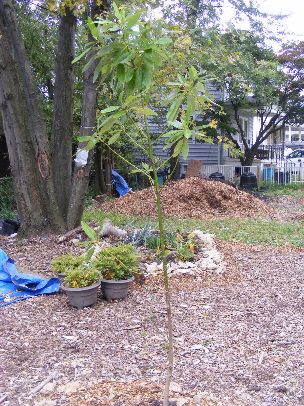 [DSCF0223.JPG]