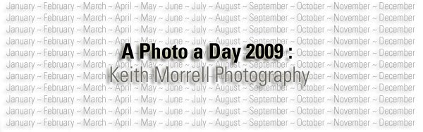 A Photo a Day 2009: Keith Morrell