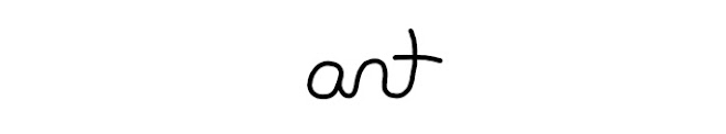 ant - illustrator / designer