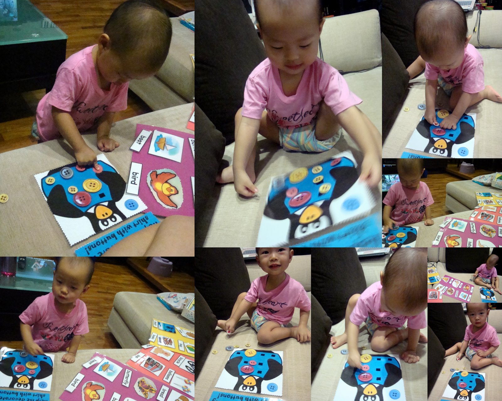[collage+and+penguin1.jpg]