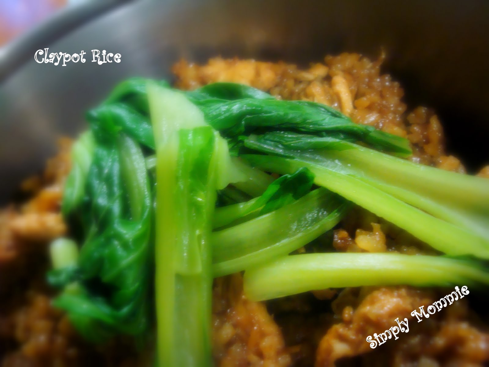 [claypot+rice.jpg]