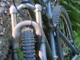 Leadwing On The Trail January 2011