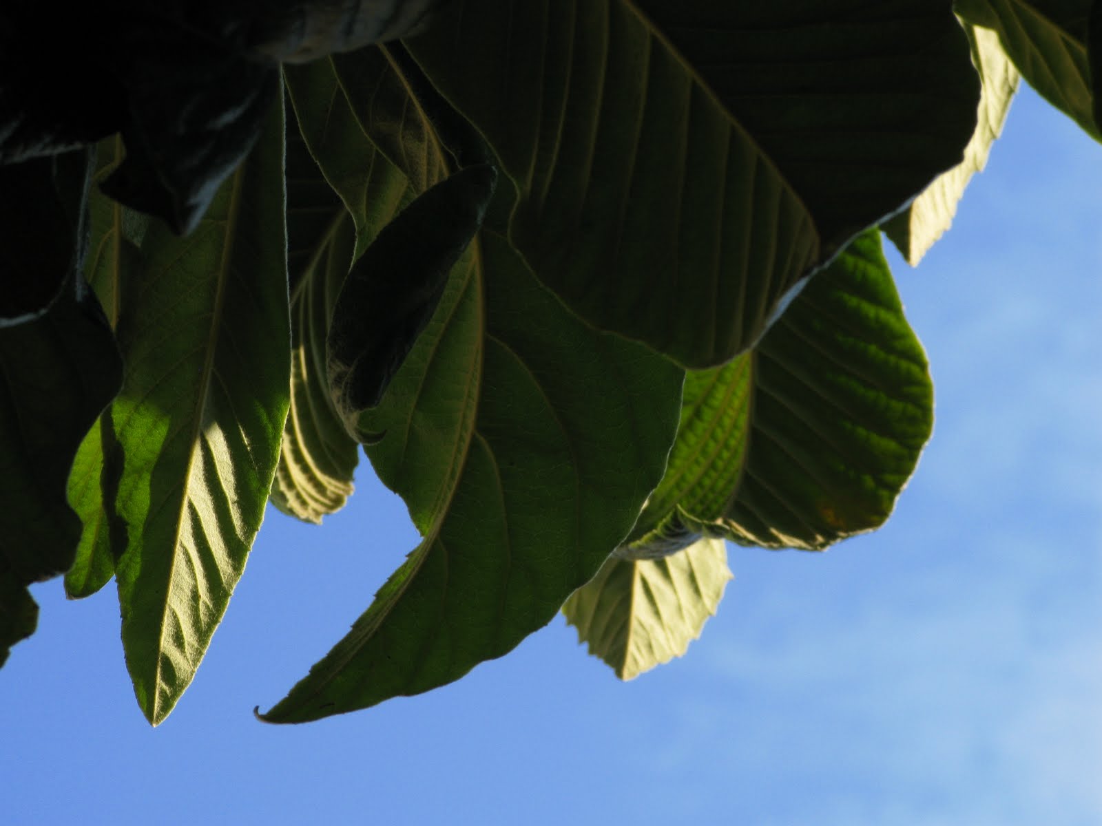 [IMG_7222.JPG]