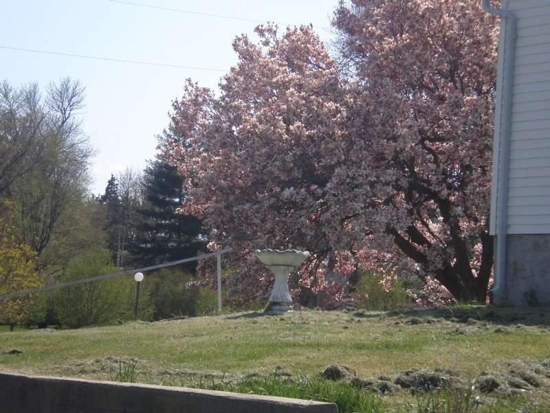 [Library+-+1738.jpg]