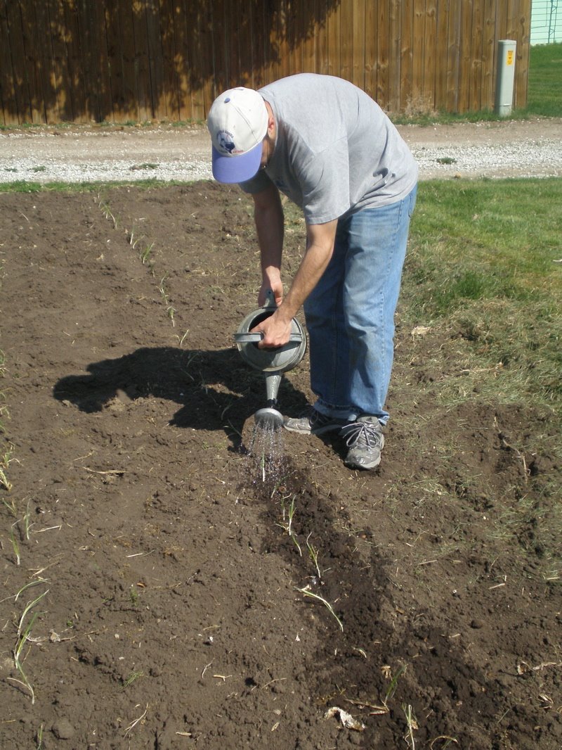 [Library+-+1741.jpg]