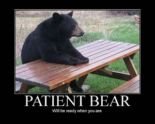 patient_bear-500x400.jpg