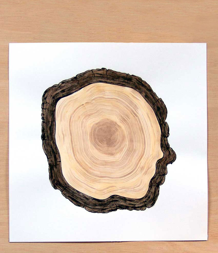 [ANTEPASADO-1-W.jpg]