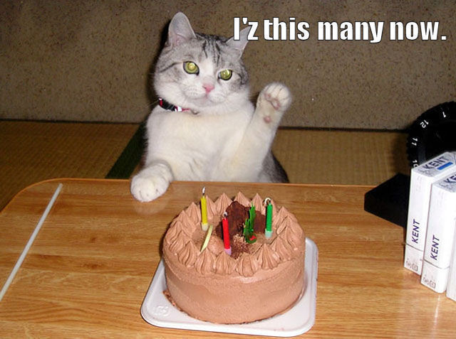 [BirthdayCat.jpg]