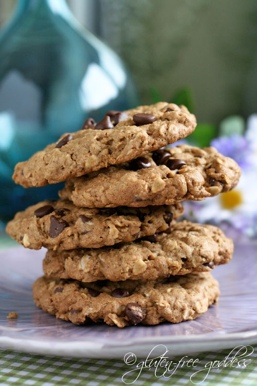 Wonderful gluten-free oatmeal cookies with chocolate chips