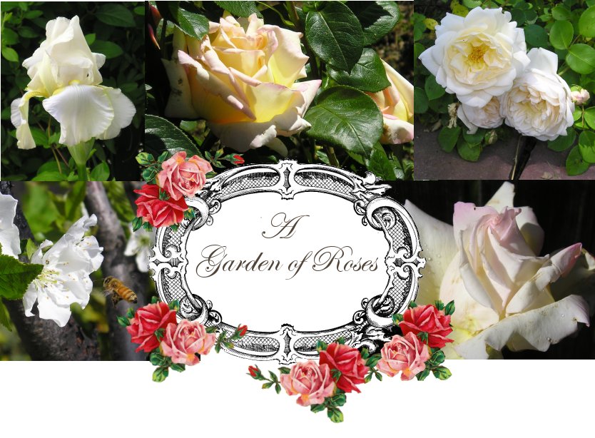 A Garden of Roses