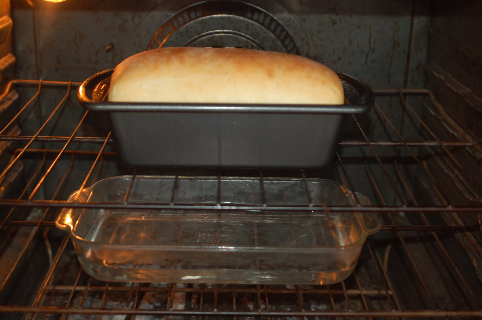 Where To Place Oven Rack For Bread at Abraham Cruz blog