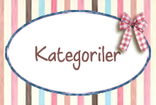 Kategoriler