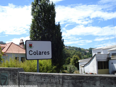 [PLACA-COLARES.jpg]