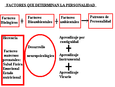 HERENCIA PSICOLOGIA herencia psicologia:
