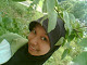 Foto saya
