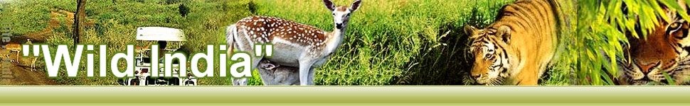 Wild-India.com