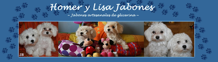 Homer y Lisa Jabones