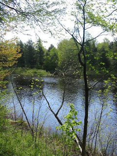 Oswagotchie River pic courtesy of City of Harrisville NY