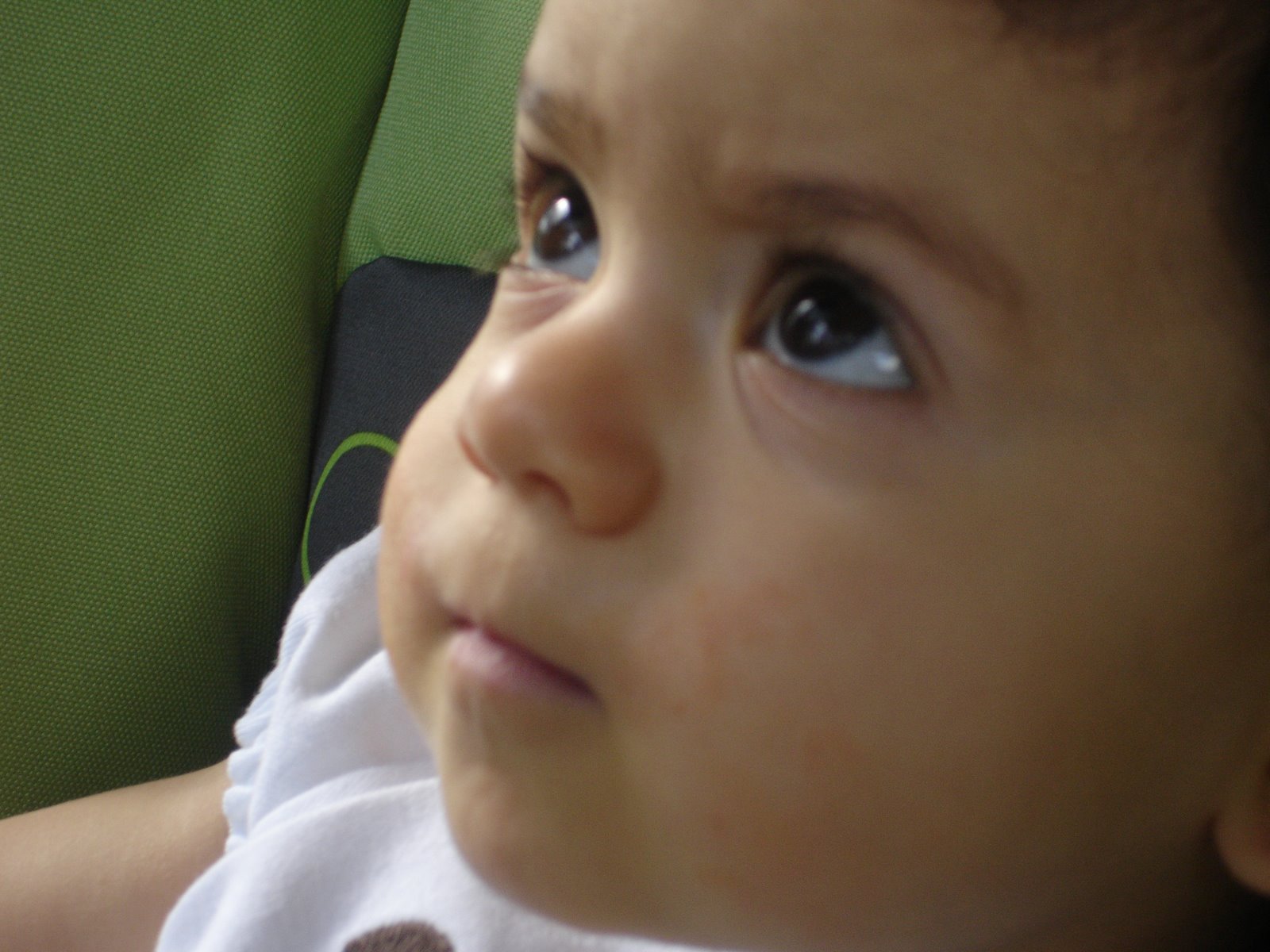[DSC01246.JPG]
