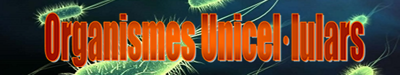Organismes unicel.lulars