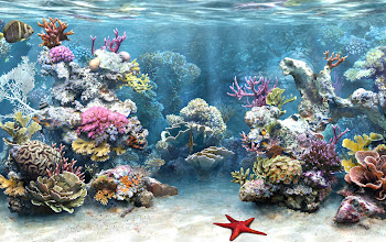 Coral Reefs