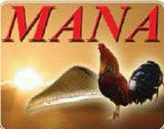 New MANA Webite. Click logo below