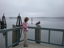 Bodega Bay, California