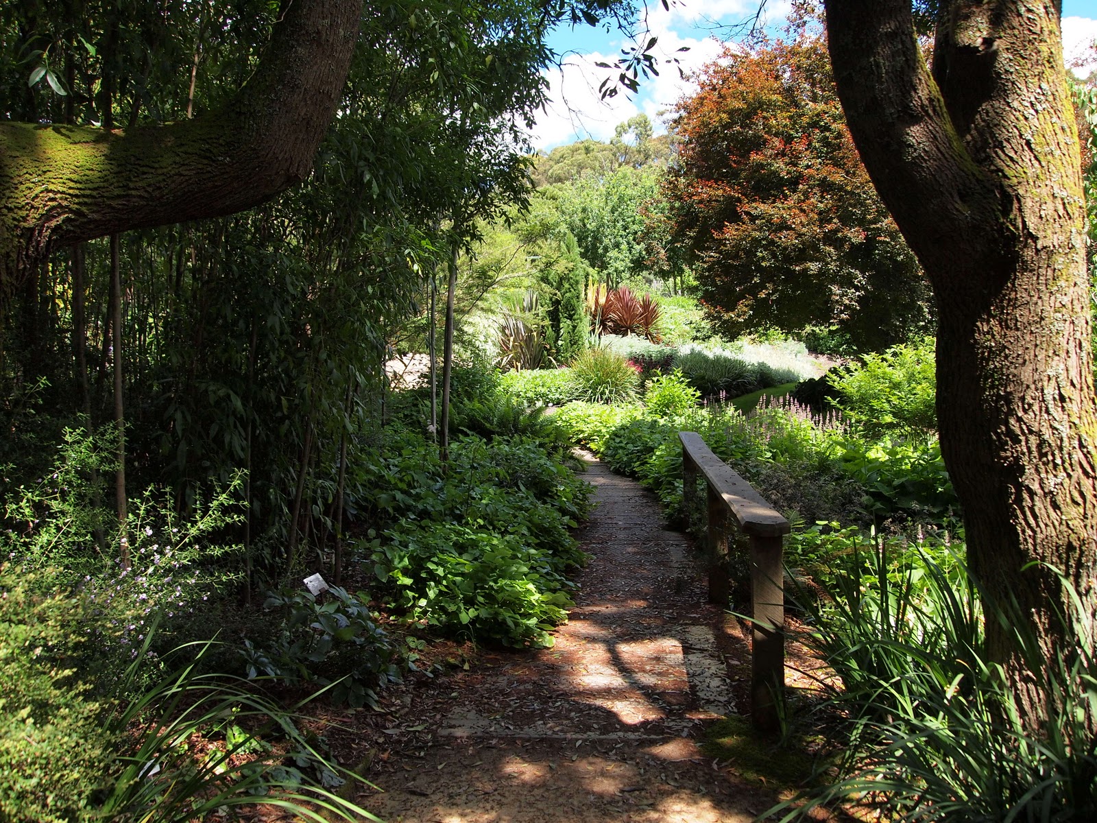 Walk Walk Melbourne The Garden of St. Erth, Blackwood, Victoria