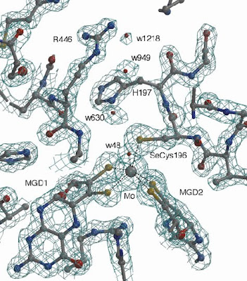 A Tese da Complexidade Irredutível Membrane+protein+complex