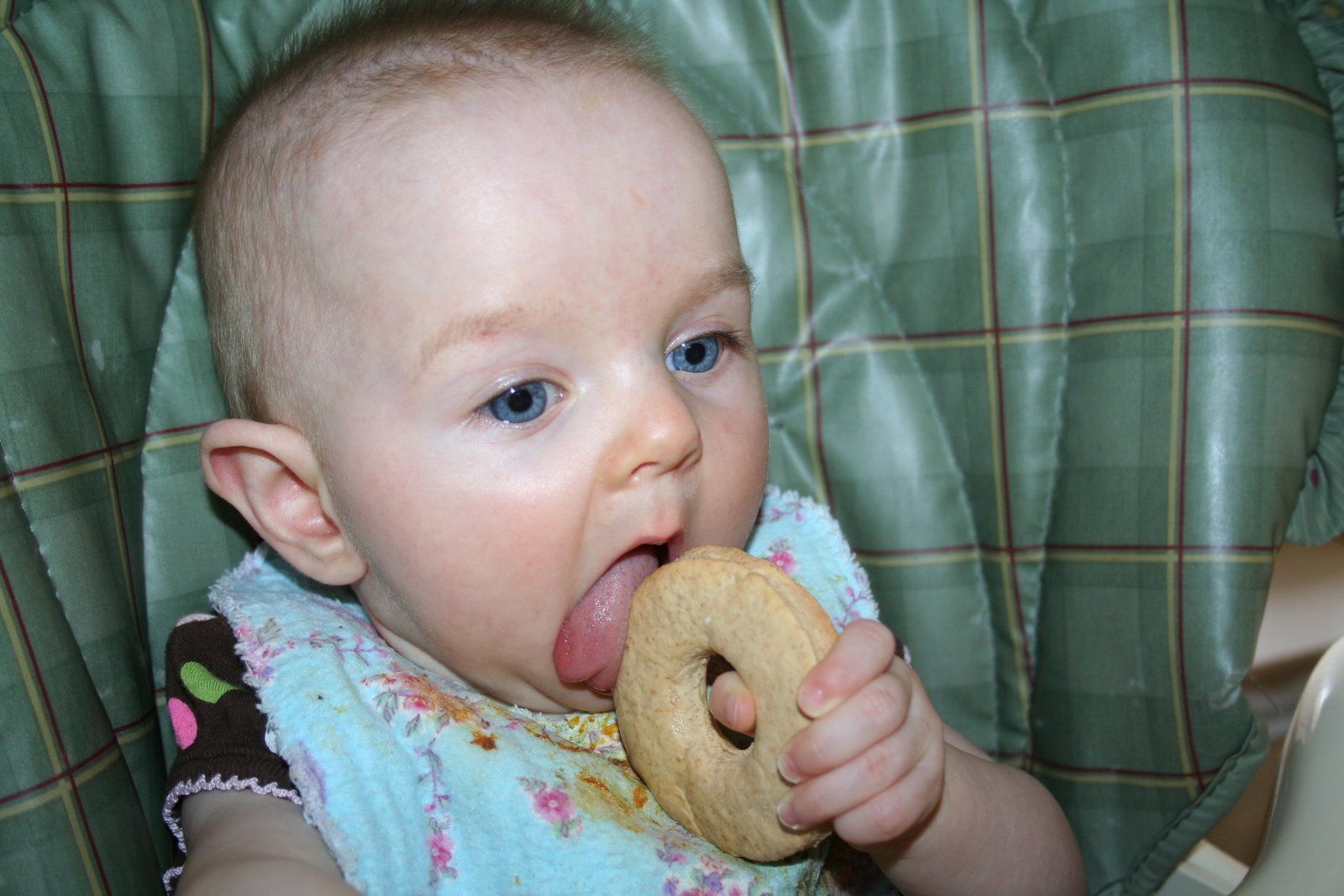 Homemade Teething Biscuits Dukes and Duchesses