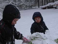 A Rare Snow Day!