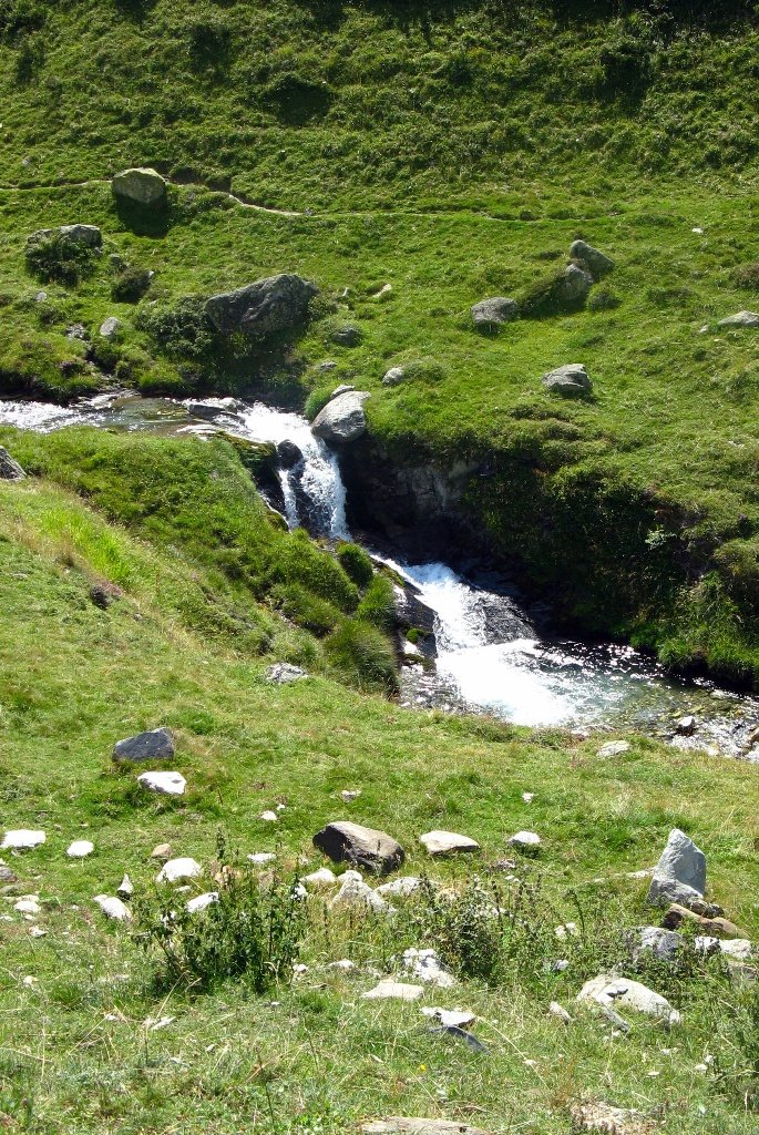 [IMG_0923.JPG]