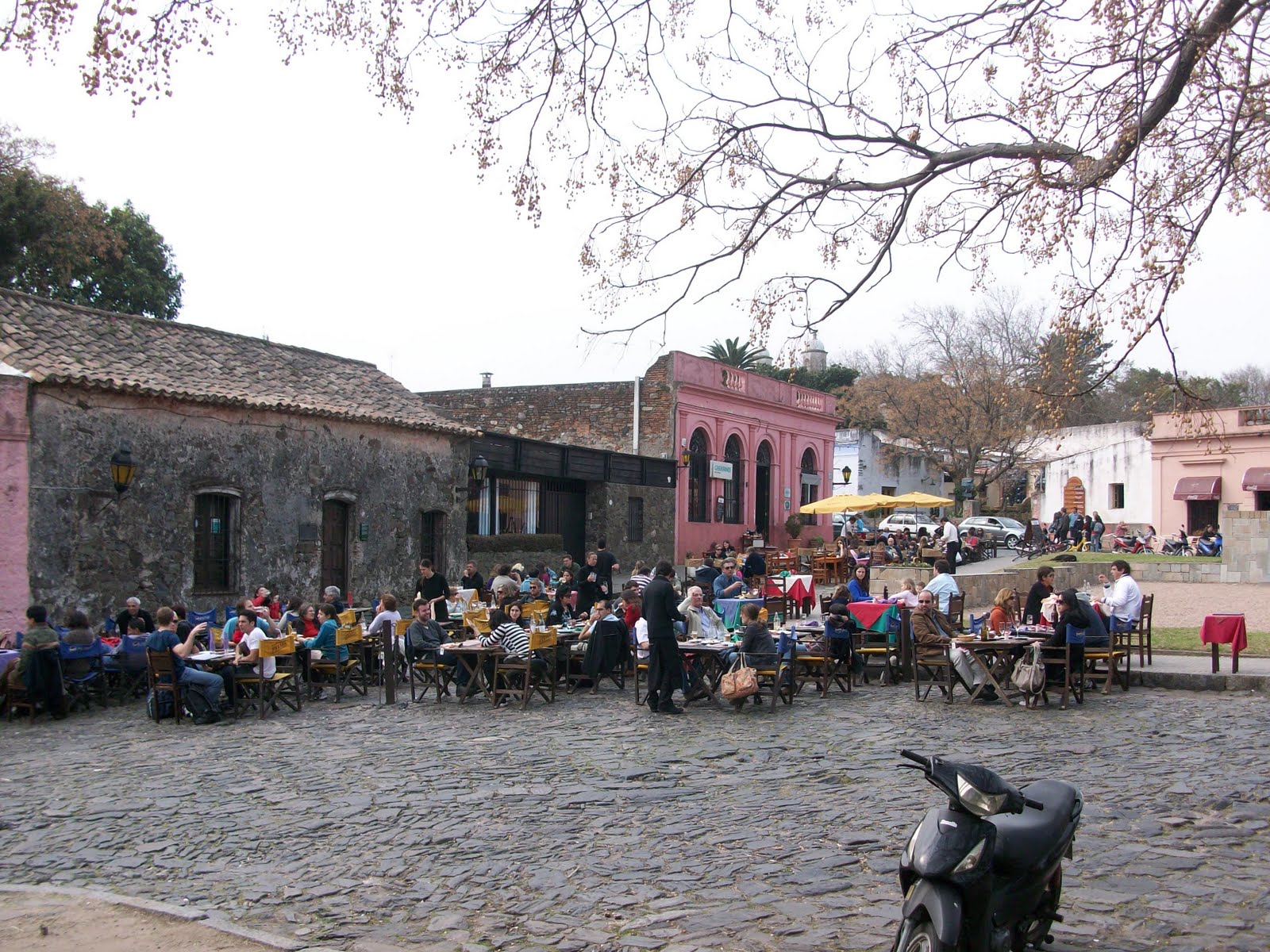 Bill's Extraordinary Adventure A Day in Colonia, Uruguay
