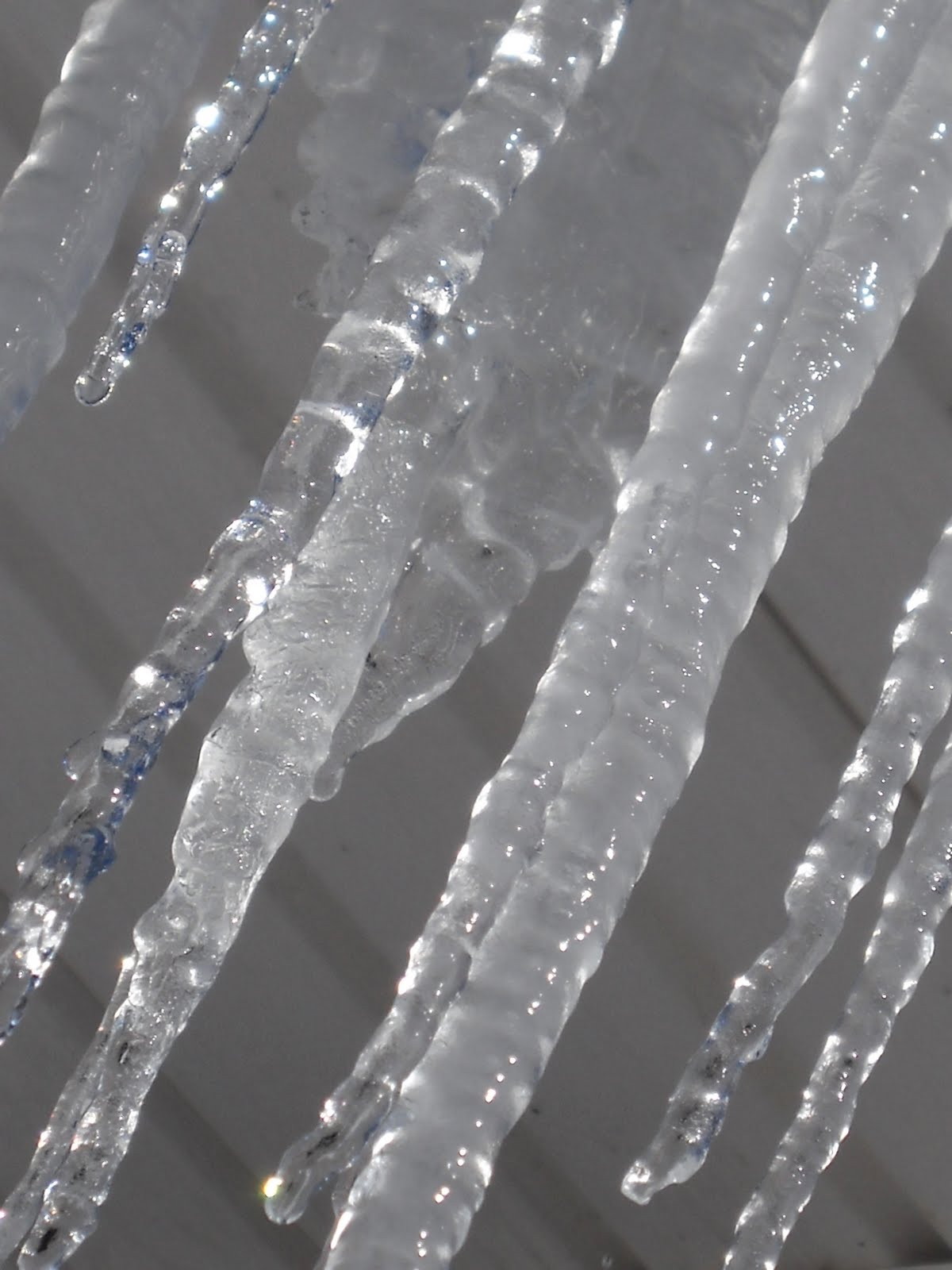 [Icicles.JPG]