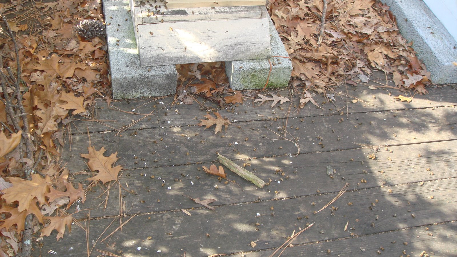 [DSC03391.JPG]