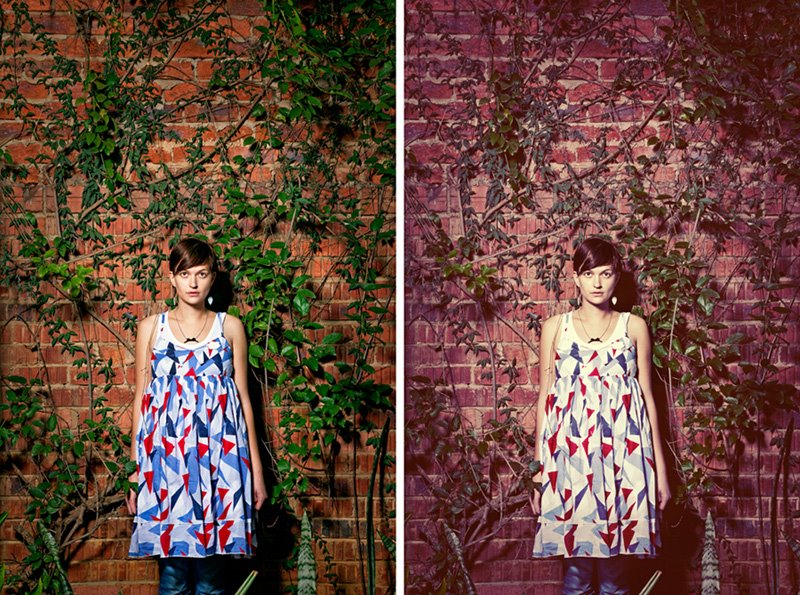 [button-in-back-garden.jpg]