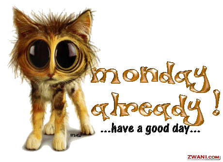 [monday35.gif]